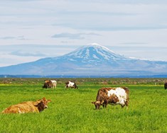 Þú treystir ekki hverjum sem er fyrir búinu þínu