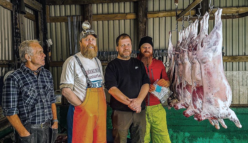 Reglugerð sem heimilar heimaslátrun á sauðfé og geitum til markaðssetningar