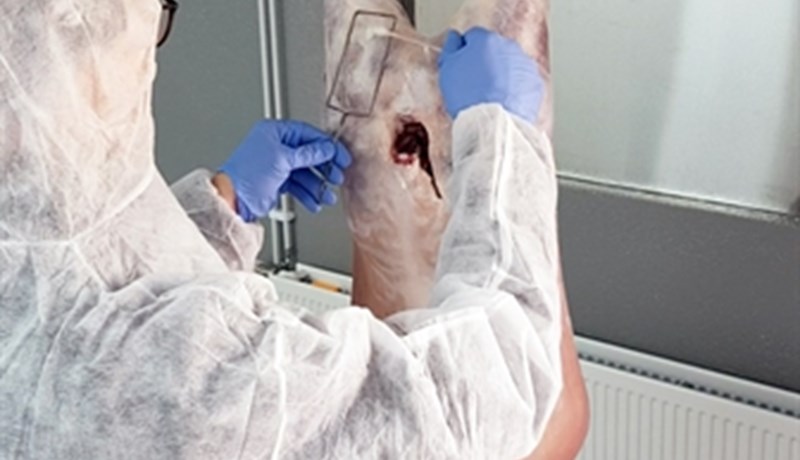 Sveinn Margeirsson í skýrslutöku hjá lögreglunni