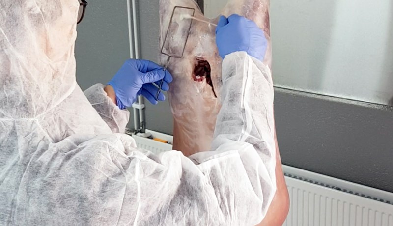 Heimavinnsla afurða og aukin verðmætasköpun