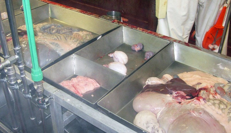 Norðlenska fær heimild til að dreifa gor á svæðinu