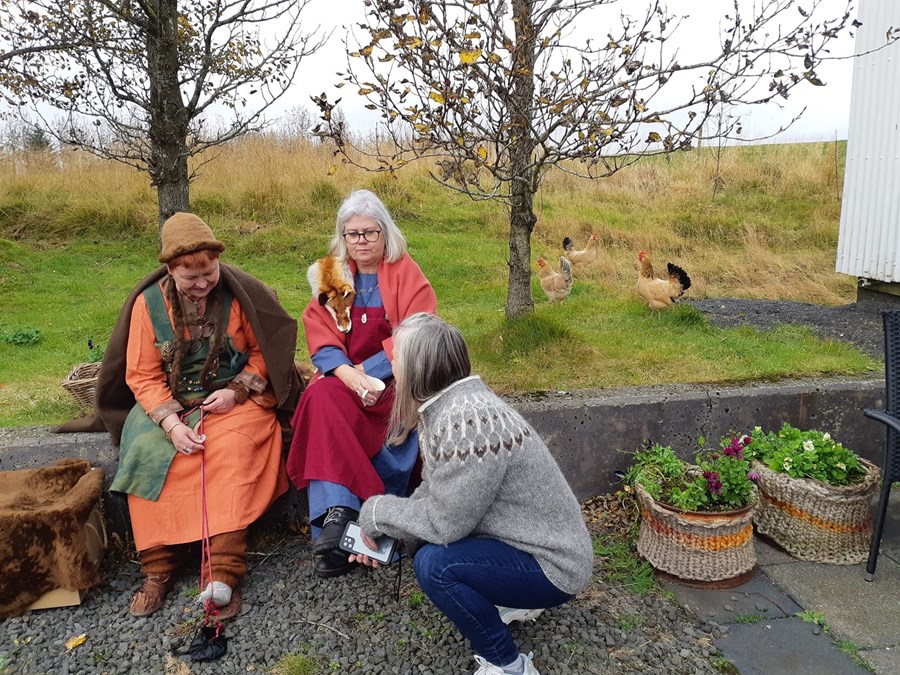 Ullarvika á Suðurlandi