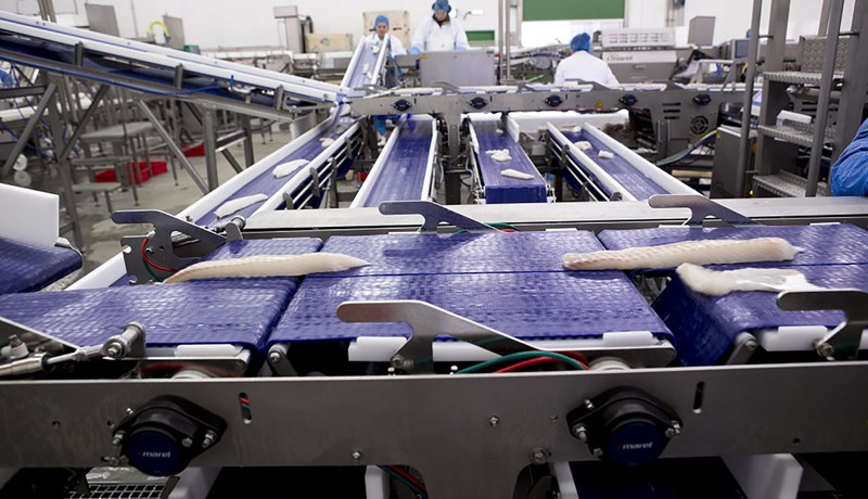 Samkeppnisstaða sjávarútvegsins