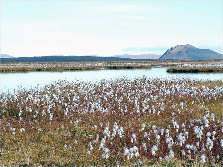 Með nýrri aðgerðaáætlun vilja stjórnvöld láta í ljós grundvallarbreytingar í nálgun þeirra á verkefnið.