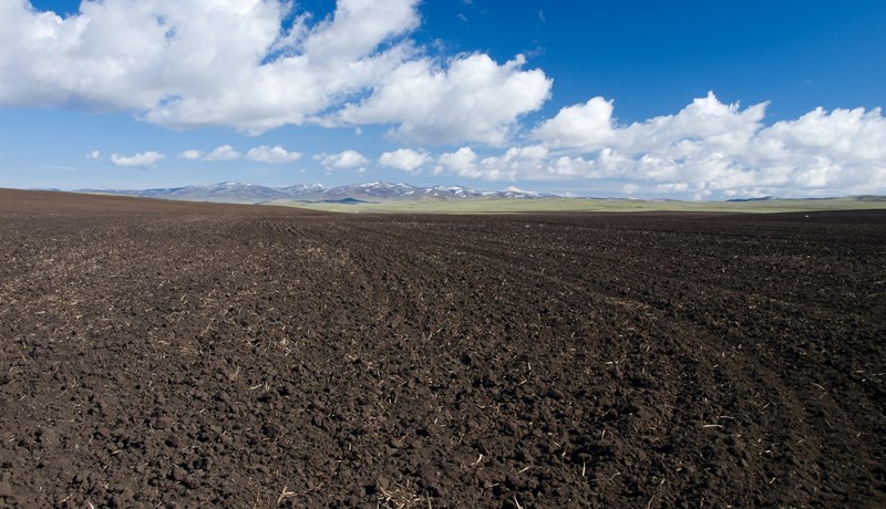 Áburðarframleiðsla á döfinni